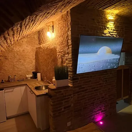 Cocon Romantique Avec Sauna Voute Toulousaine * טולוז