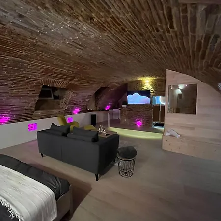 Cocon Romantique Avec Sauna Voute Toulousaine * טולוז