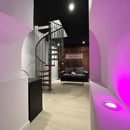 Cocon Romantique Avec Sauna Voute Toulousaine Apartment