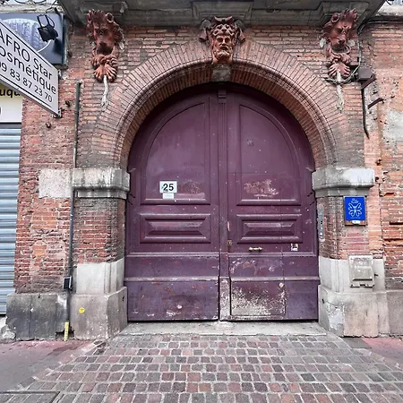 Cocon Romantique Avec Sauna Voute Toulousaine *