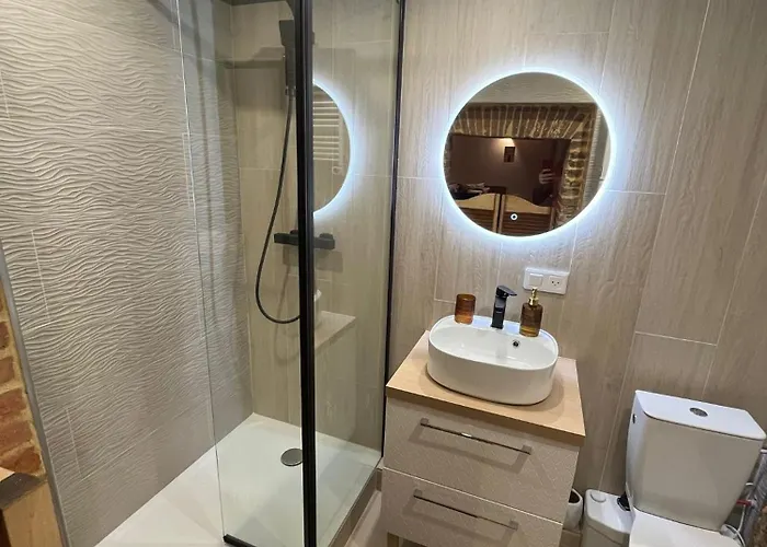 Apartment Cocon Romantique Avec Sauna Voute Toulousaine *