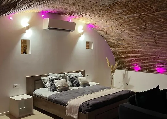 Cocon Romantique Avec Sauna Voute Toulousaine Apartment